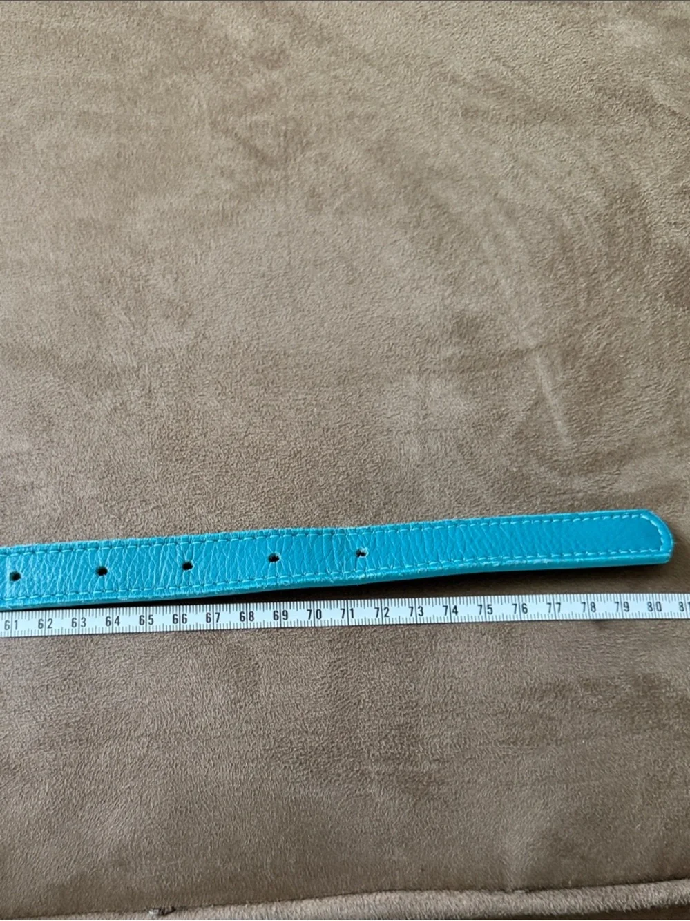 Garnet Hill sleek turquoise